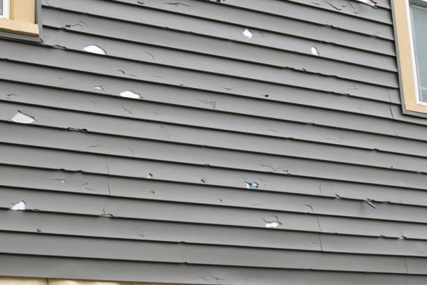 Best Custom Trim and Detailing for Siding  in Rock Hill, NY